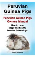 Peruvian Guinea Pigs. Peruvian Guinea Pigs Owners Manual. How to raise happy and healthy Peruvian Guinea Pigs.