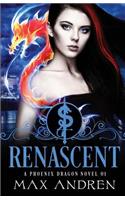 Phoenix Dragon Novel 01