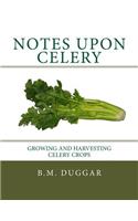 Notes Upon Celery: Growing and Harvesting Celery Crops