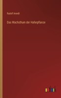 Das Wachsthum der Haferpflanze