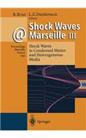Shock Waves at Marseille