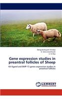 Gene expression studies in preantral follicles of Sheep