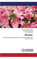 LILII.