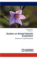 Studies on Brinjal Hybrids Evaluation
