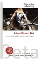 Inland Forest Bat