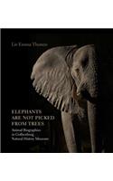 Elephants Are Not Picked from Trees: Animal Biographies in the Gothenburg Museum of Natural History(Hardcover)