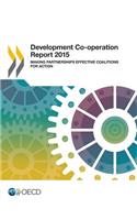 Development Co-operation Report 2015