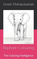 Elephant Colouring