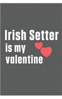 Irish Setter is my valentine: For Irish Setter Dog Fans