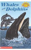 Whales and Dolphins