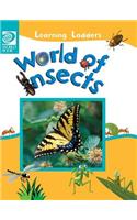 World of Insects