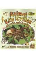 Animal Life Cycles: Growing and Changing
