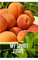 My Spirit Fruit: Apricot Journal