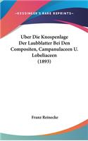 Uber Die Knospenlage Der Laubblatter Bei Den Compositen, Campanulaceen U. Lobeliaceen (1893)