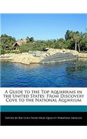 A Guide to the Top Aquariums in the United States: From Discovery Cove to the National Aquarium