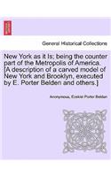 New York as It Is; Being the Counter Part of the Metropolis of America. [a Description of a Carved Model of New York and Brooklyn, Executed by E. Porter Belden and Others.]