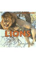 Lions