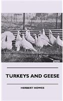 Turkeys and Geese