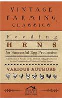 Feeding Hens for Successful Egg Production - A Collection of Articles on the Methods of Egg Production for the Professional and Amateur Poultry Keeper