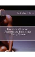 Essentials of Human Anatomy and Physiology
