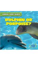 Dolphin or Porpoise?