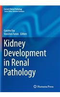 Kidney Development in Renal Pathology
