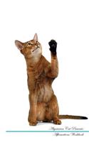 Abyssinian Cat Affirmations Workbook Abyssinian Cat Presents: Positive and Loving Affirmations Workbook. Includes: Mentoring Questions, Guidance, Supporting You.