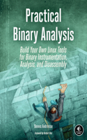 Practical Binary Analysis