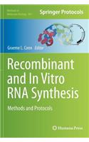 Recombinant and in Vitro RNA Synthesis