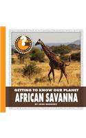 African Savanna