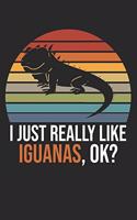 I Just Really Like Iguanas, OK?: DIN A5 Leguan Notizheft - 120 Seiten liniertes Leguan Notizbuch für Notizen in Schule, Universität, Arbeit oder zuhause. - Eine tolles Geschenk für 