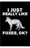 I Just Really Like Foxes Ok