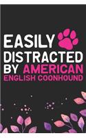 Easily Distracted by American English Coonhound