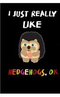 I Just Really Like Hedgehogs OK