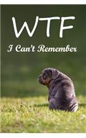 WTF I Can't Remember