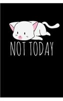 Not Today: A Journal, Notepad, or Diary to write down your thoughts. - 120 Page - 6x9 - College Ruled Journal - Writing Book, Personal Writing Space, Doodle, N