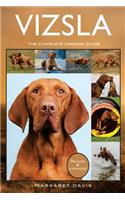 Vizsla