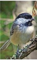 Chickadee Lined Journal