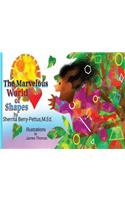 Marvelous World of Shapes