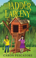 Ladder Larceny