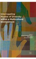 Interrogating Models of Diversity within a Multicultural Environment
