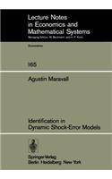 Identification in Dynamic Shock-Error Models