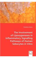 The Involvement of Lipoxygenases in Inflammatory Signalling Pathways of Human Sebocytes in Vitro