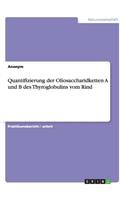 Quantifizierung der Oliosaccharidketten A und B des Thyroglobulins vom Rind