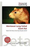 Mentawai Long-Tailed Giant Rat