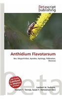 Anthidium Flavotarsum: (English)