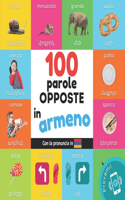 100 parole opposte in Armeno: Libro illustrato bilingue per bambini: Italiano / Armeno con pronuncia