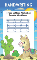 Trace Letters Alphabet Handwriting Practice workbook