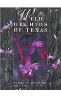 Wild Orchids of Texas