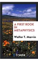 A First Book in Metaphysics